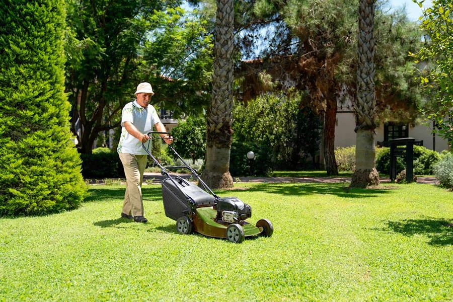 where to buy lawn mowers
